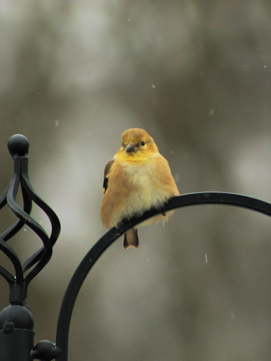 His Eye is on&nbsp;Them