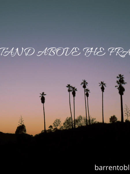 STAND Above the&nbsp;fray