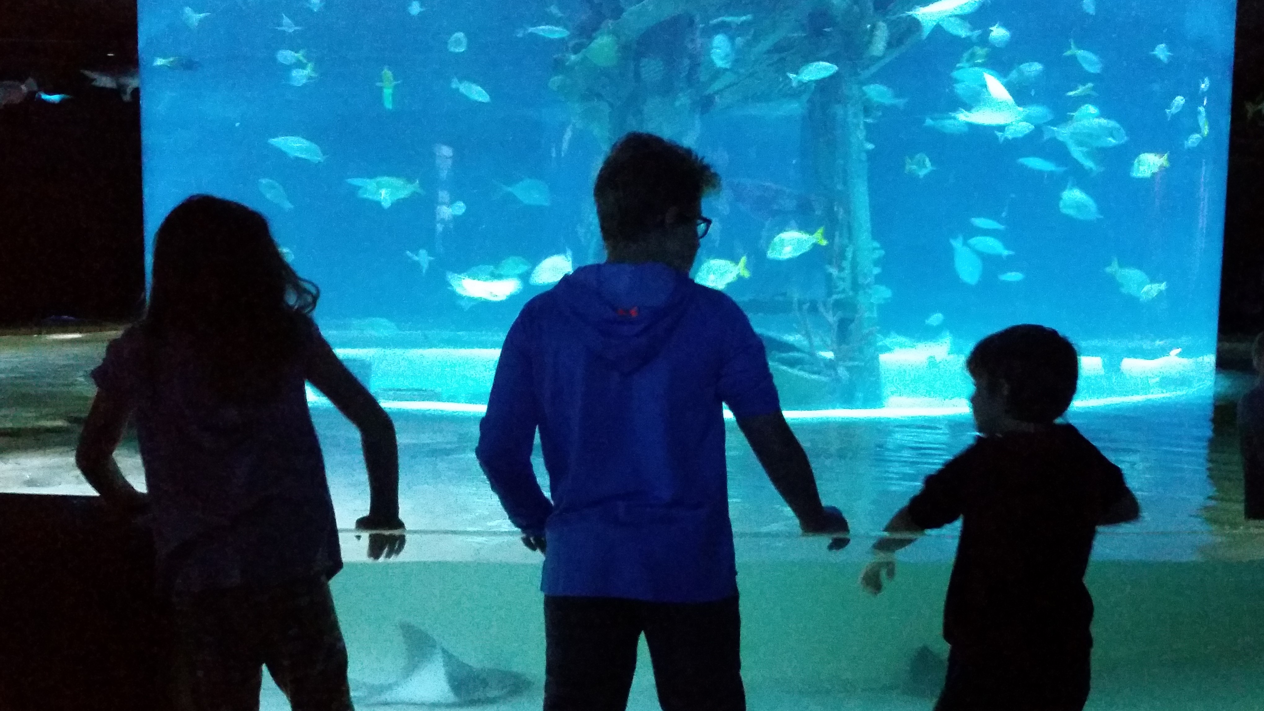 20171227_114332 - Copy.jpg